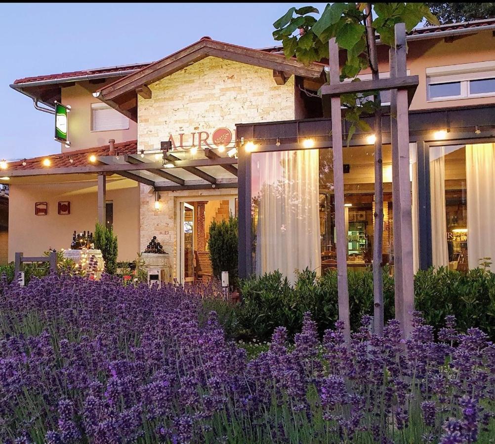 Aurora Panzio Bed & Breakfast Buk Luaran gambar