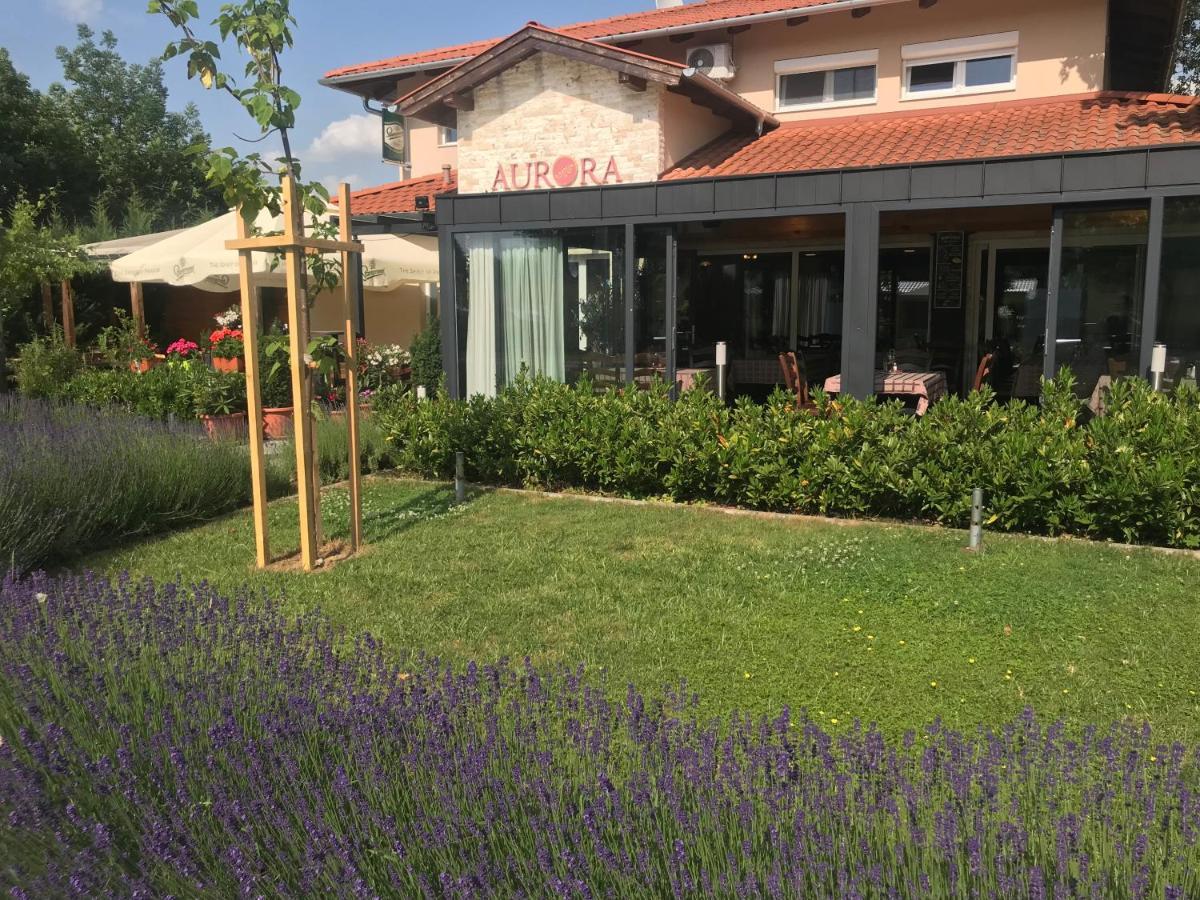 Aurora Panzio Bed & Breakfast Buk Luaran gambar